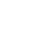 Consumer reflection icon