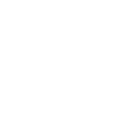 Health Reflection icon